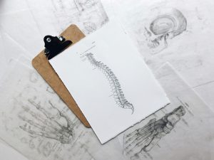 The image of human spine, is central to a chiropractor's practice
